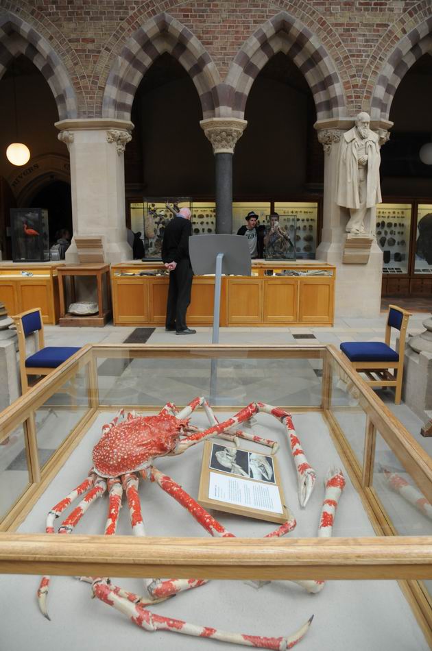oxford university museum of natural history - photo lucian muntean _0015