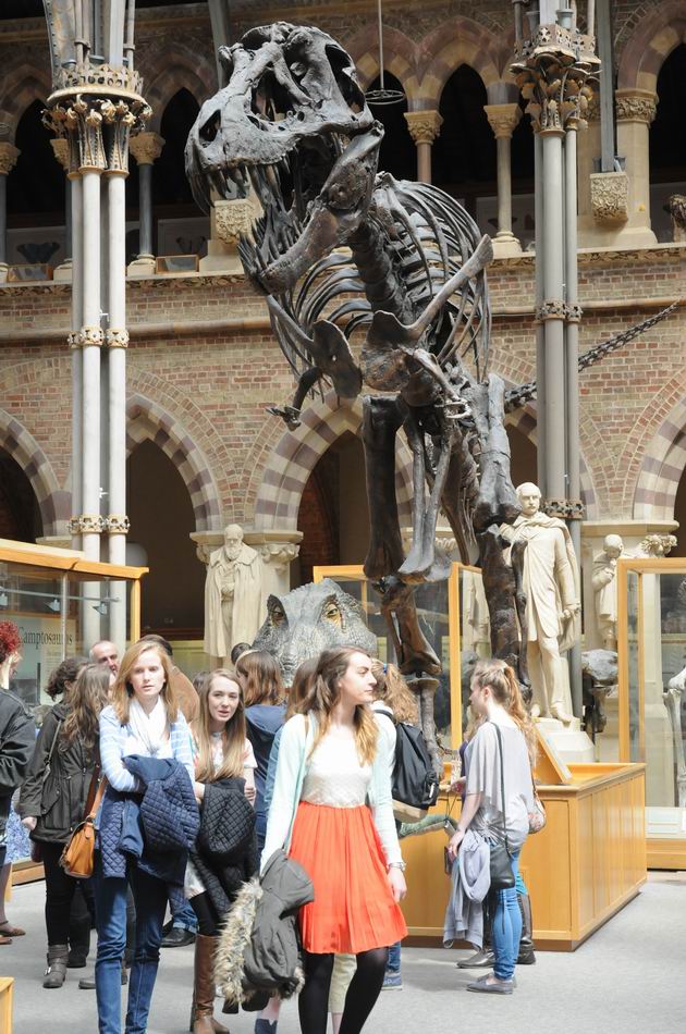 oxford university museum of natural history - photo lucian muntean _0017
