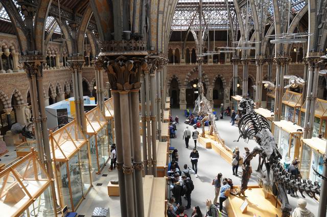 oxford university museum of natural history - photo lucian muntean _0022