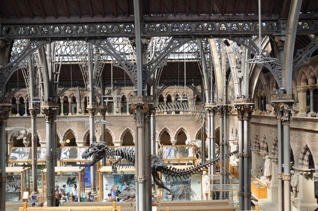 oxford university museum of natural history - photo lucian muntean _0023
