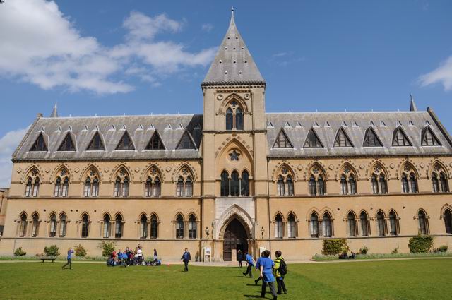 oxford university museum of natural history - photo lucian muntean _0034
