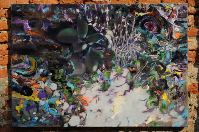 12 radu pulbere - foto Lucian Muntean