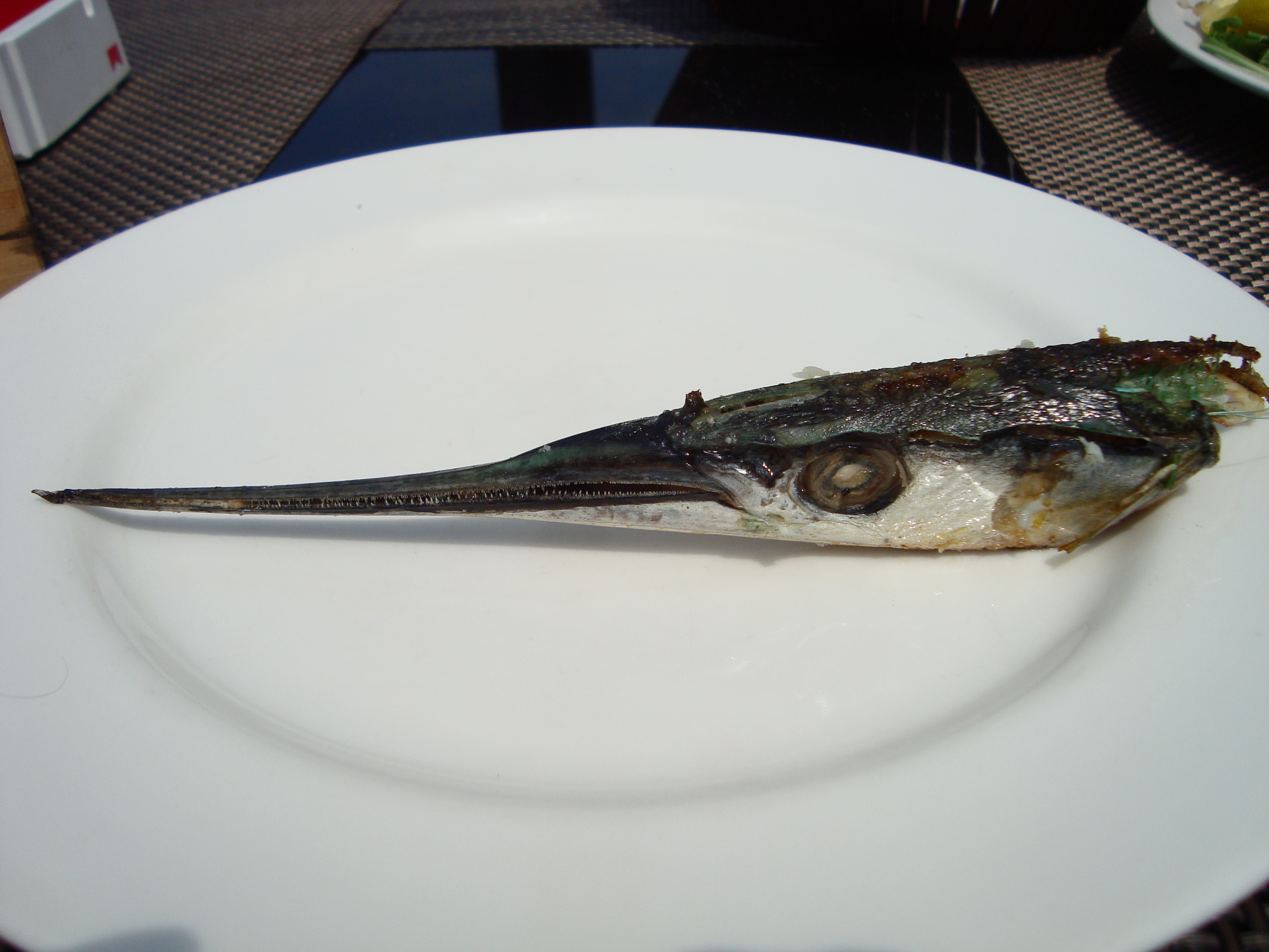 Călin HENTEA – Oameni și animale la mare