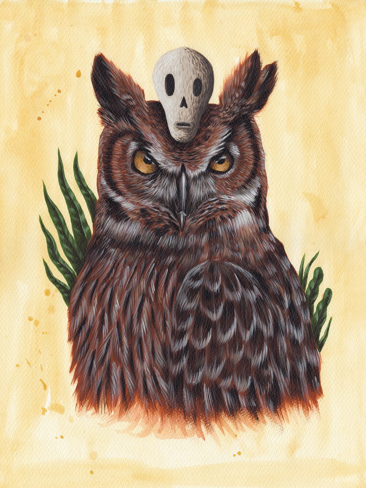 5.The Owl