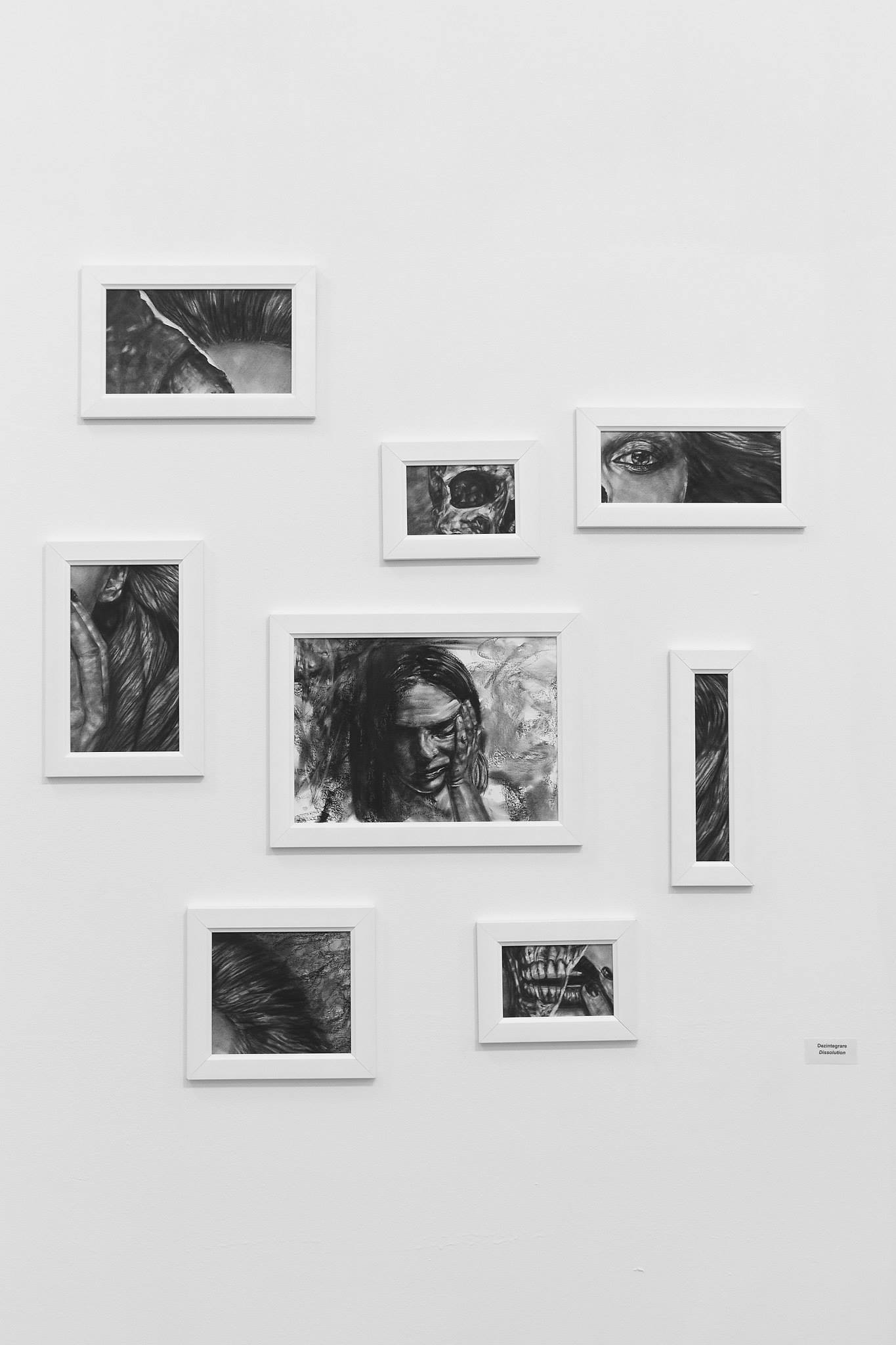 Ada Muntean – solo show Black Fire @ Muzeul de Artă Brasov (44)