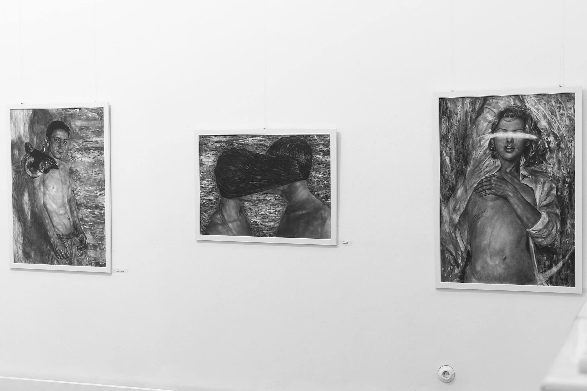Ada Muntean – solo show Black Fire @ Muzeul de Artă Brasov (47)