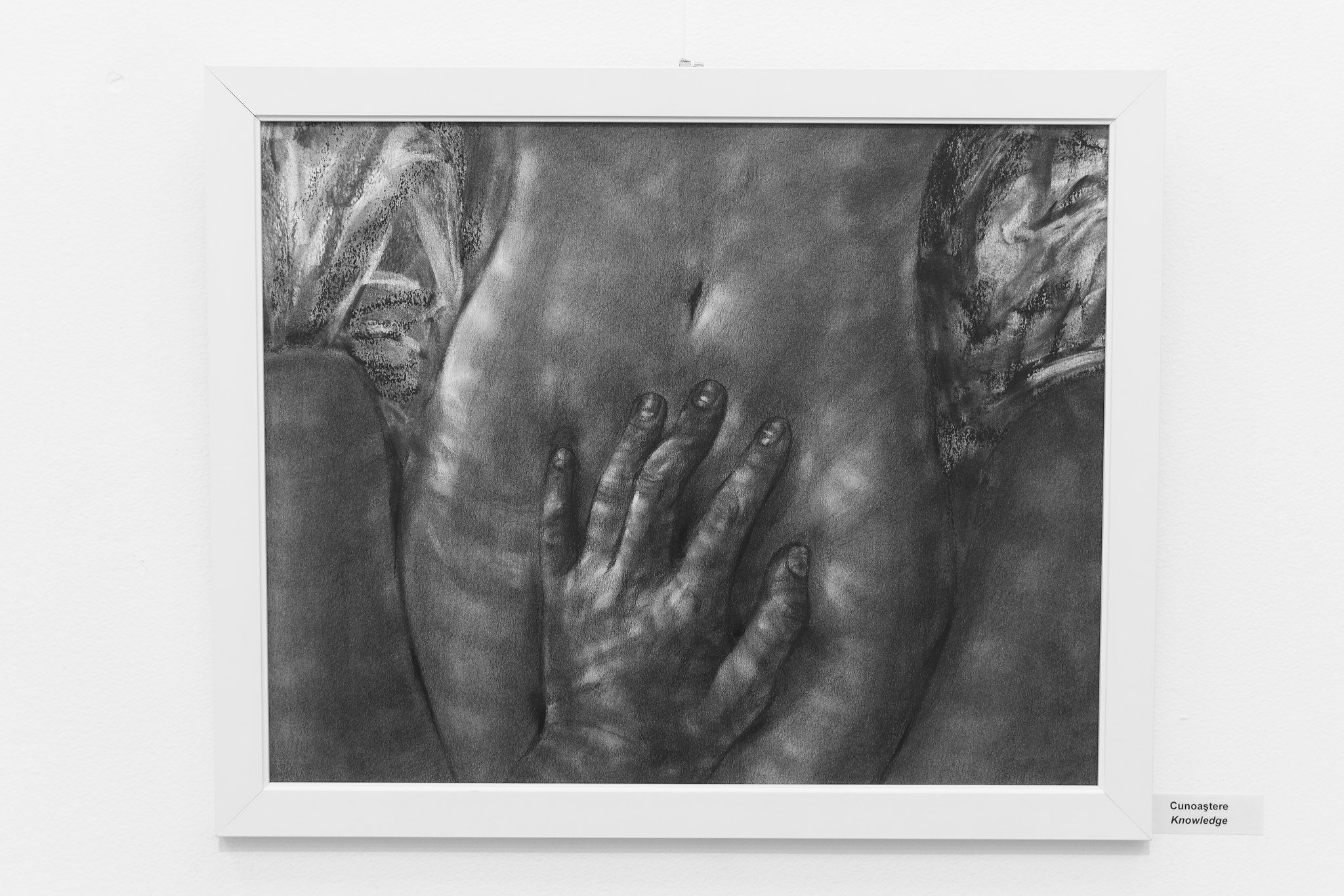 Ada Muntean – solo show Black Fire @ Muzeul de Artă Brasov (57)