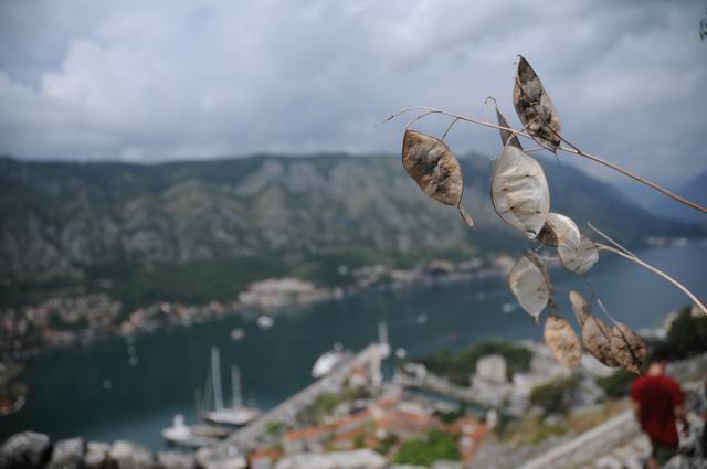 Resize of kotor - montenegro foto lucian muntean LM0_0012