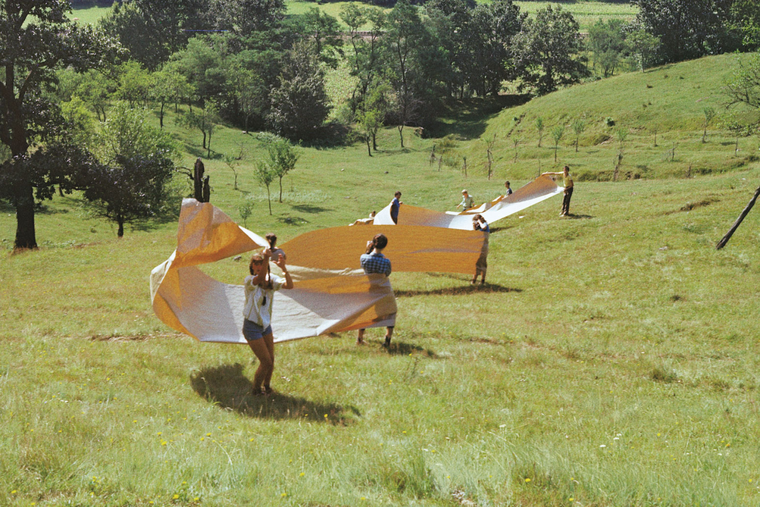 Flondor cu elevii liceului de arte Gurahont 1981