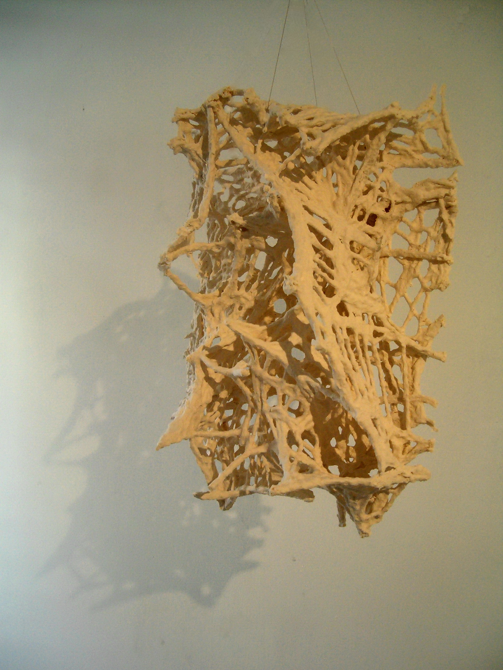 25 biomorphic-structure