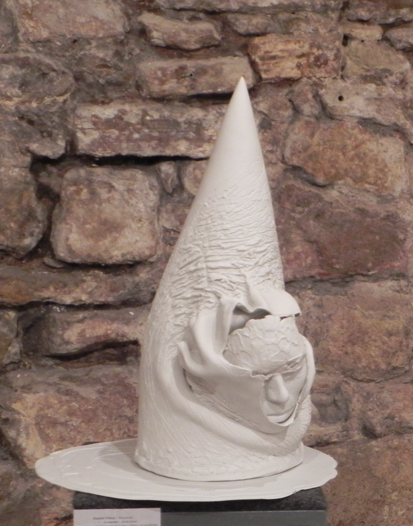 DSCN7377 a