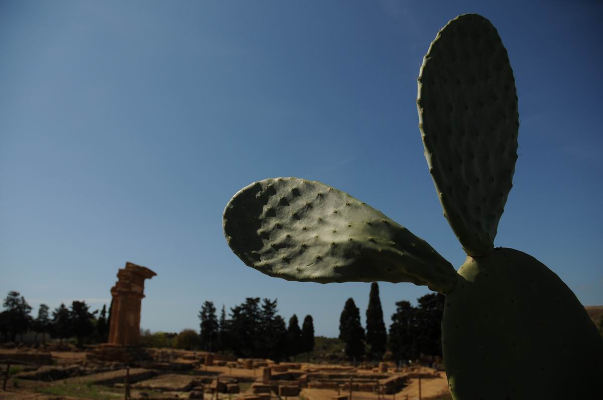 Resize of valle dei templi - agrigento - sicilia - italia - foto lucian muntean _0011