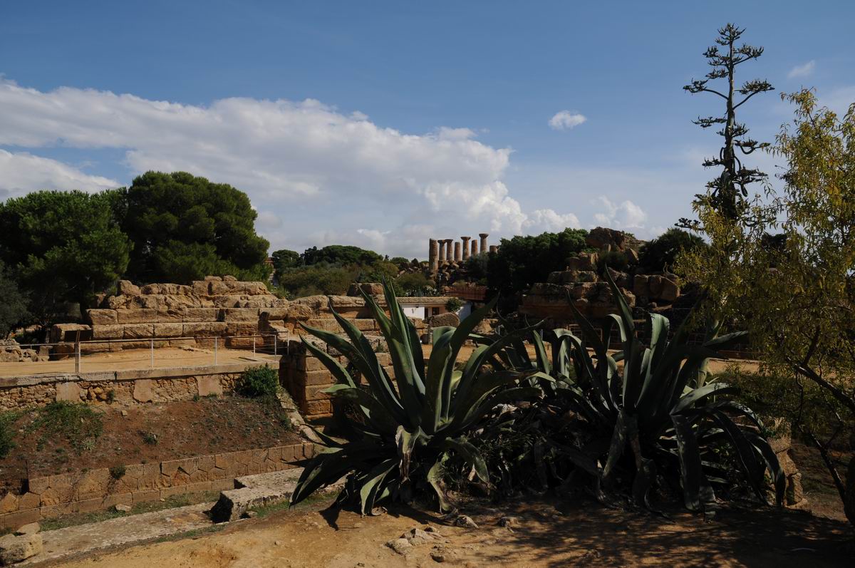 Resize of valle dei templi - agrigento - sicilia - italia - foto lucian muntean _0018