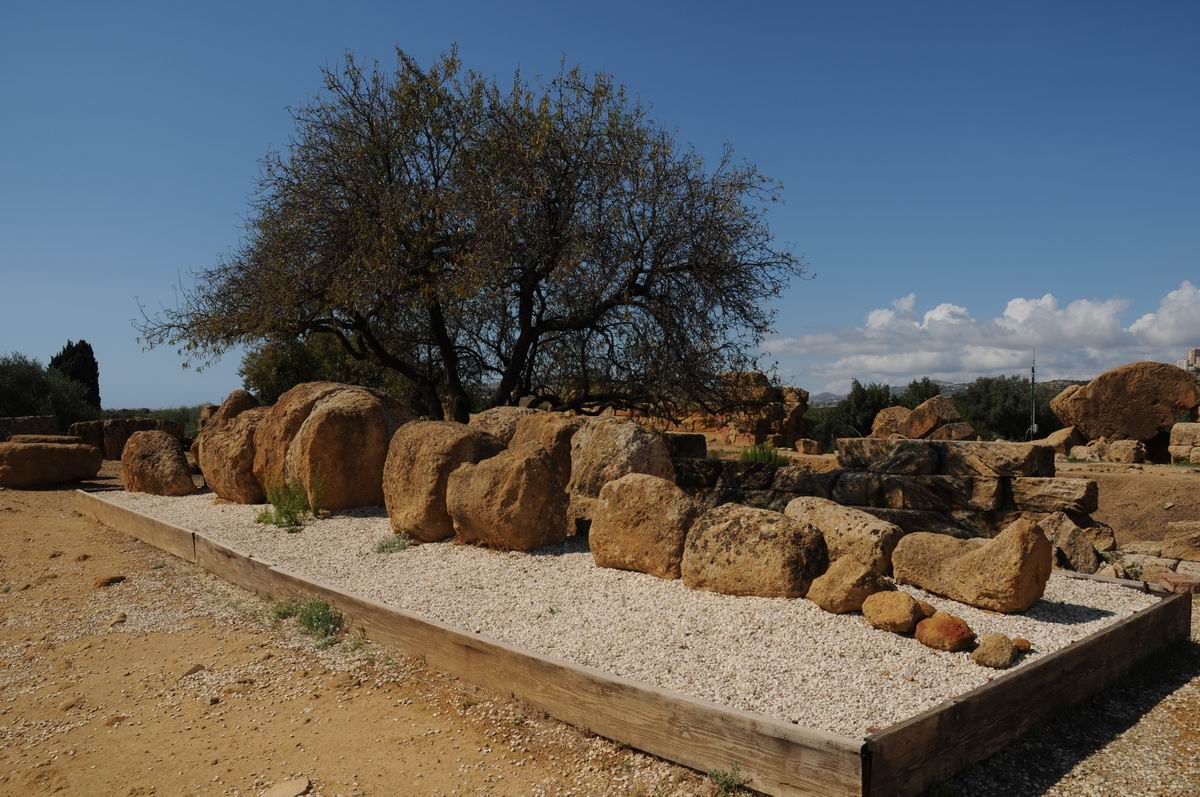Resize of valle dei templi - agrigento - sicilia - italia - foto lucian muntean _0019