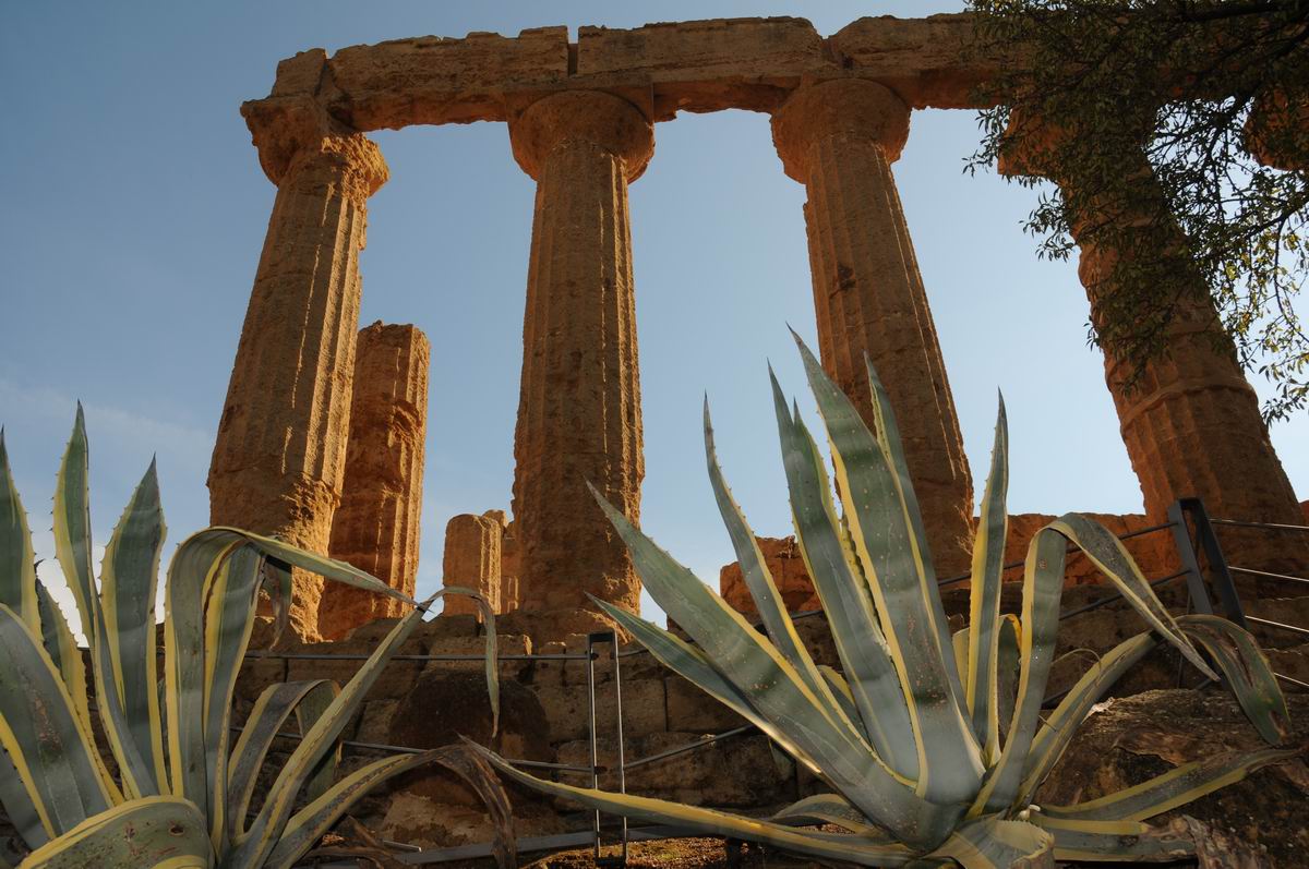 Resize of valle dei templi - agrigento - sicilia - italia - foto lucian muntean _0041