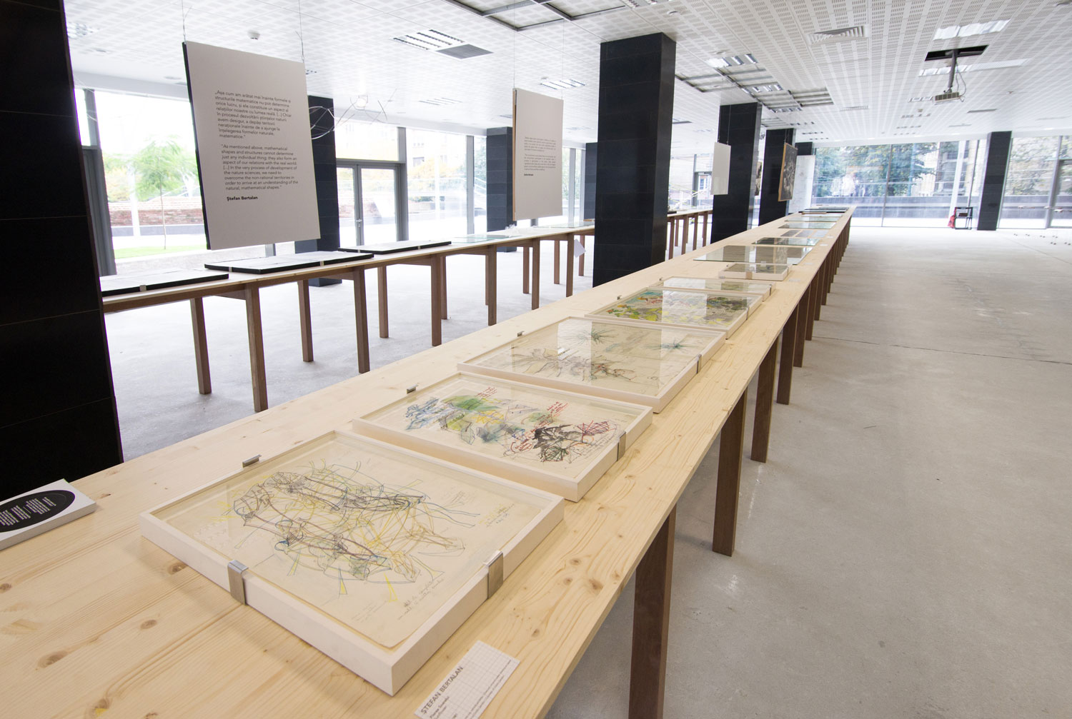 Sigma Cartografia învățării 1969-1983 în cadrul Art Encounters, Timișoara (4)