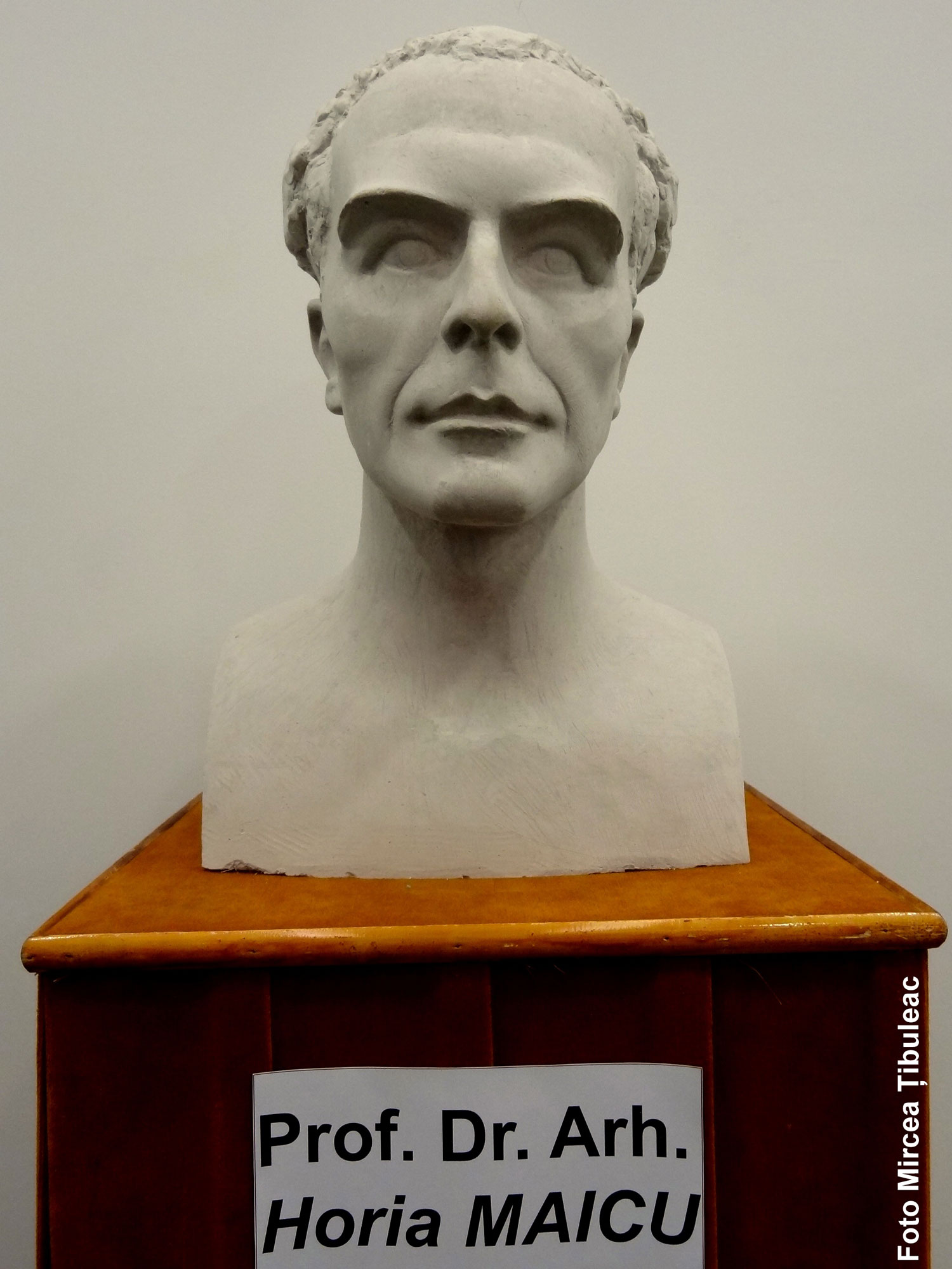 Horia-Maicu.-bust.--2.-jpg