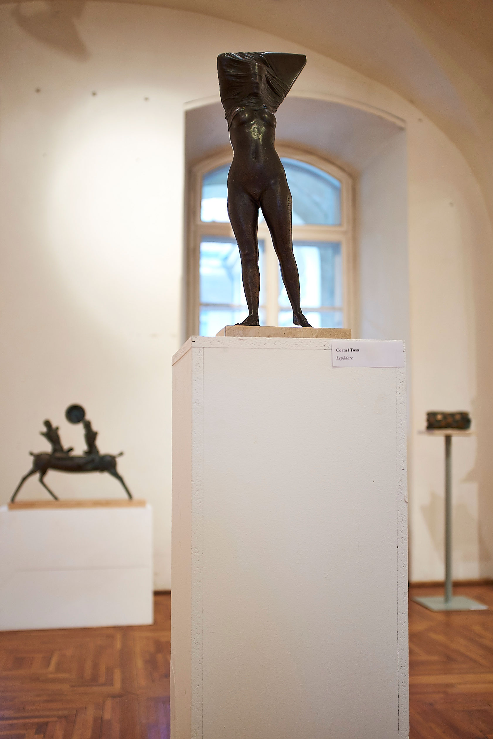 Vârsta de Bronz Muzeul de Arta din Cluj (3)