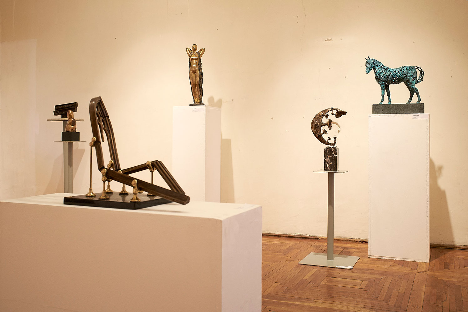 Vârsta de Bronz Muzeul de Arta din Cluj (4)