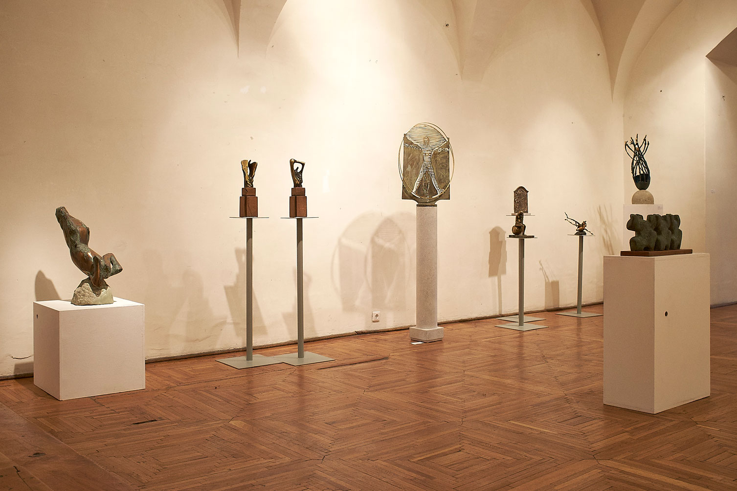 Vârsta de Bronz Muzeul de Arta din Cluj (5)