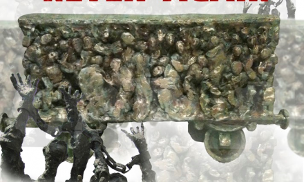 Leondar Vasile „Never Again” @ Galeria “Theodor Pallady”, Iași