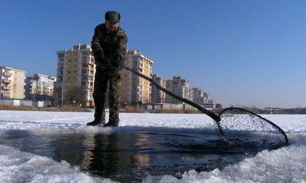 Pescari la copca – 2006