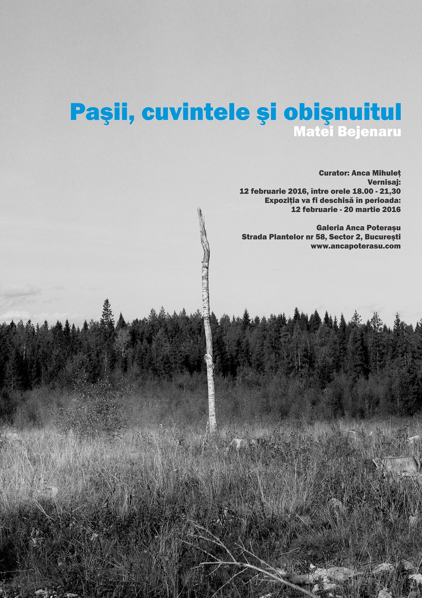Matei Bejenaru „Paşii, cuvintele şi obişnuitul” @ Anca Poterasu Gallery, București