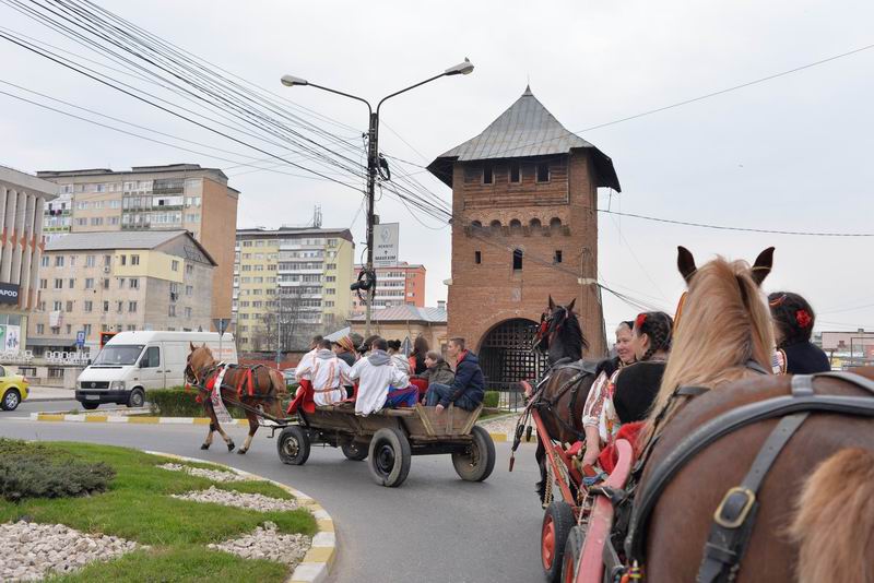 Resize of pastele cailor - targoviste 2016 LM_0342