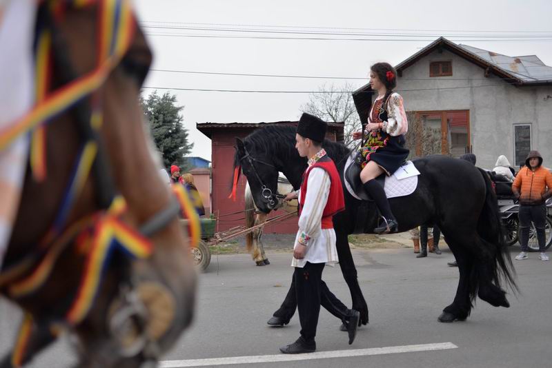 Resize of pastele cailor - targoviste 2016 LM_0403
