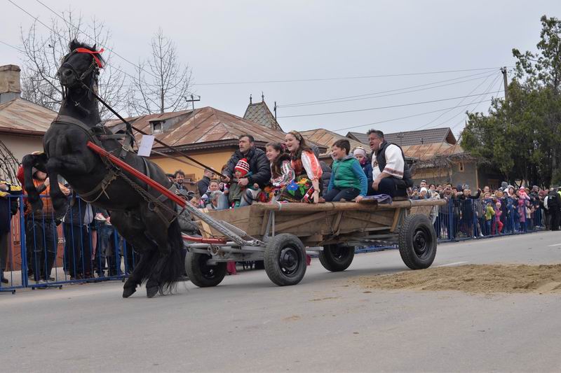 Resize of pastele cailor - targoviste 2016 LM_0574