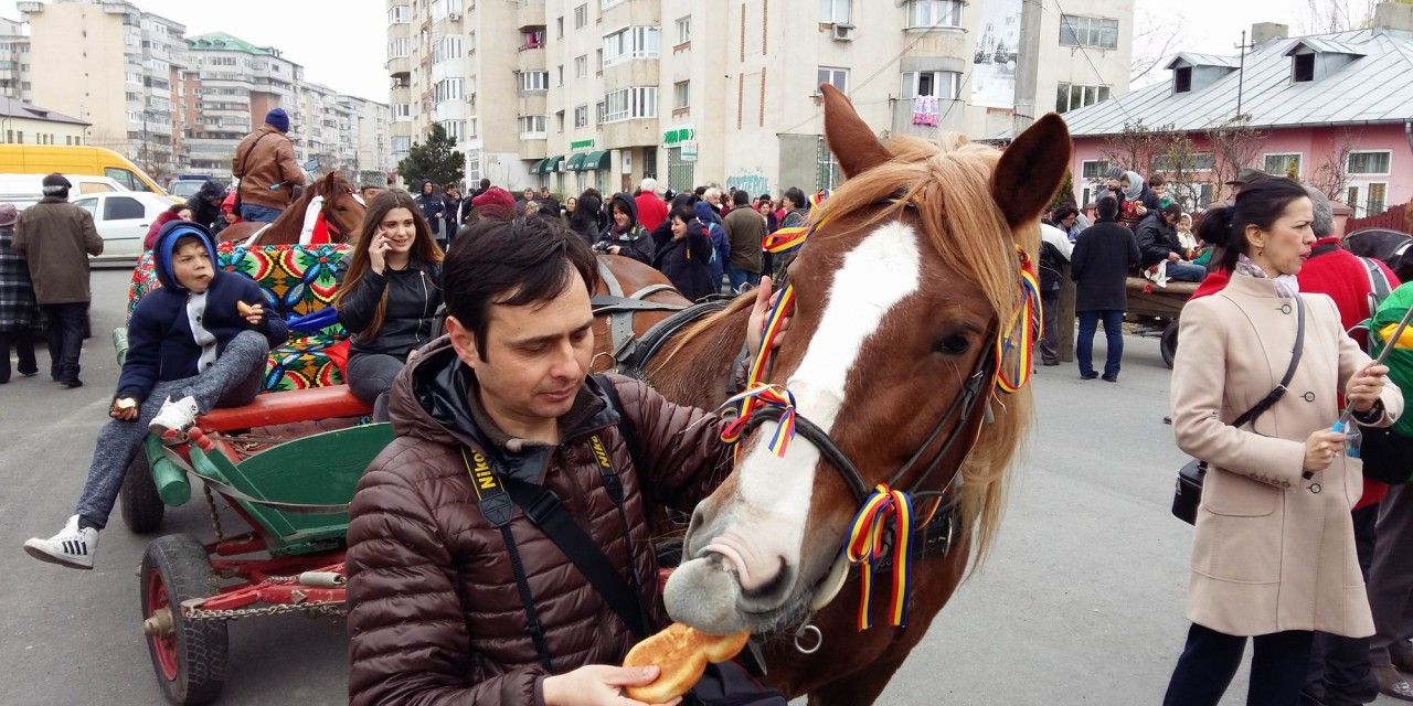 Pastile Cailor @ Targoviste