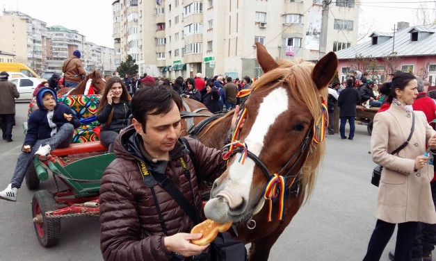 Pastile Cailor @ Targoviste