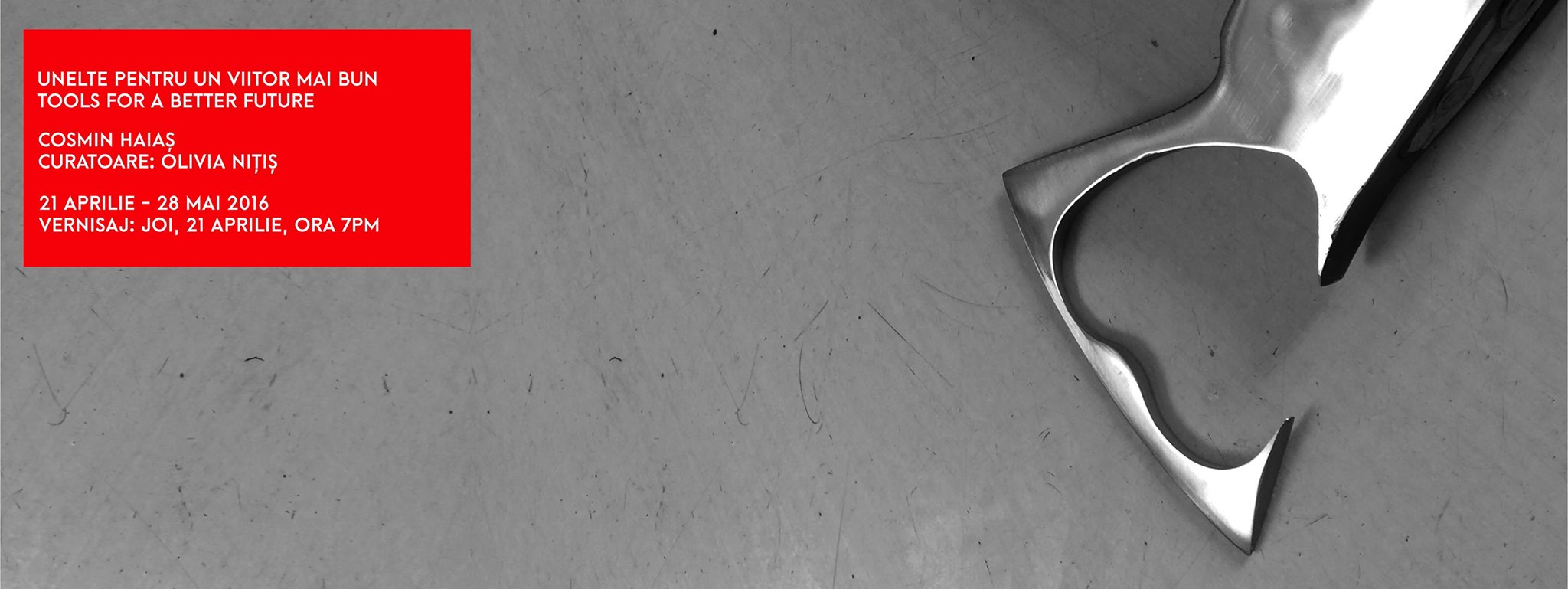 Cosmin Haiaș at Aiurart Contemporary Art Space