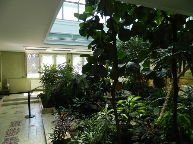 Resize of Sera in care el isi facea siesta