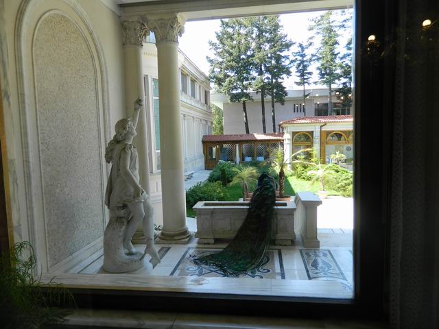 Resize of Unul dintre paunii prezidentiali