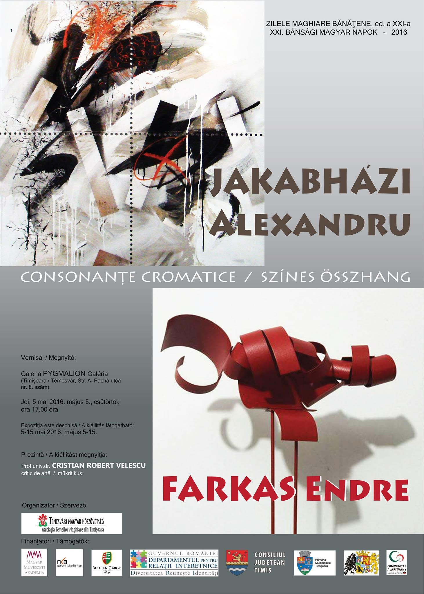 Endre Farkas și Alexandru Jakabhazi @ Galeria Pygmalion, Timișoara