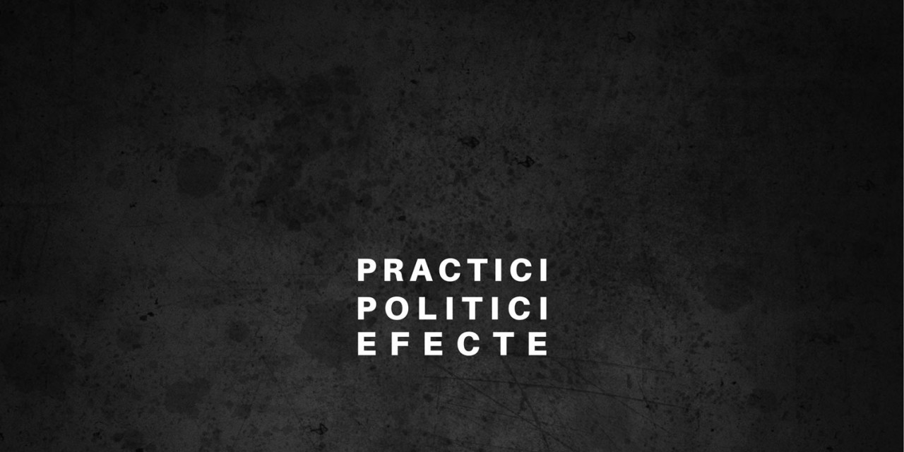 Dorin Baba „Politici, practici, efecte” @ Galeria DANA, Iași