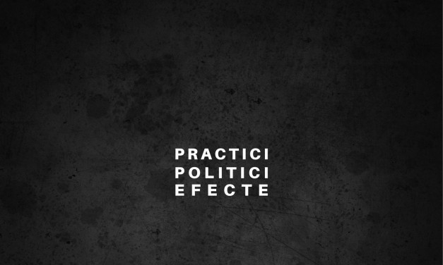 Dorin Baba „Politici, practici, efecte” @ Galeria DANA, Iași