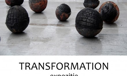 Danica Bićanić, „Transformation” @ Calpe Gallery, Timișoara