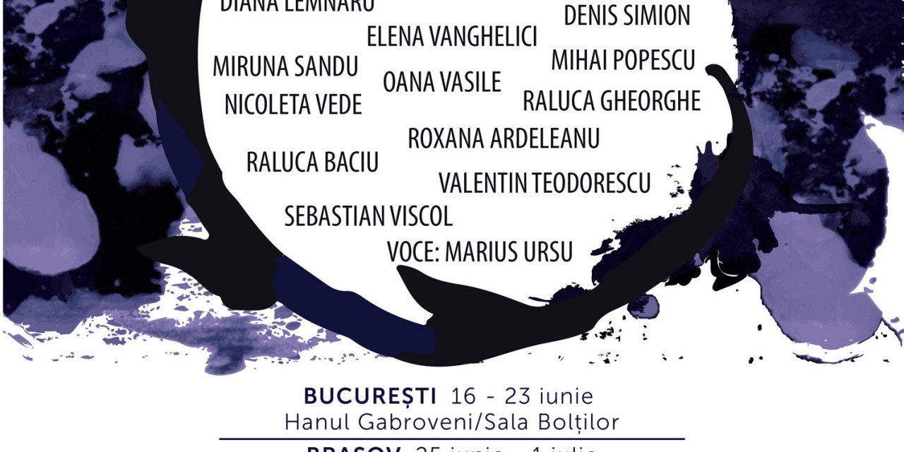Circuit, instalații site-specific în București, Brașov, Sibiu, Cluj-Napoca, Timișoara