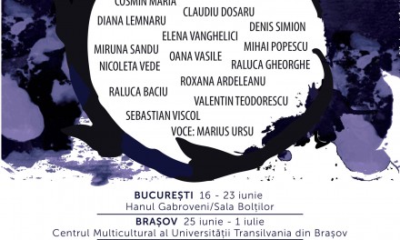 Circuit, instalații site-specific în București, Brașov, Sibiu, Cluj-Napoca, Timișoara