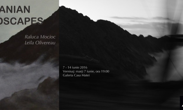 „Romanian Landscapes” Raluca Mocioc și Leila Olivereau @ Galeria Casa Matei, Cluj-Napoca
