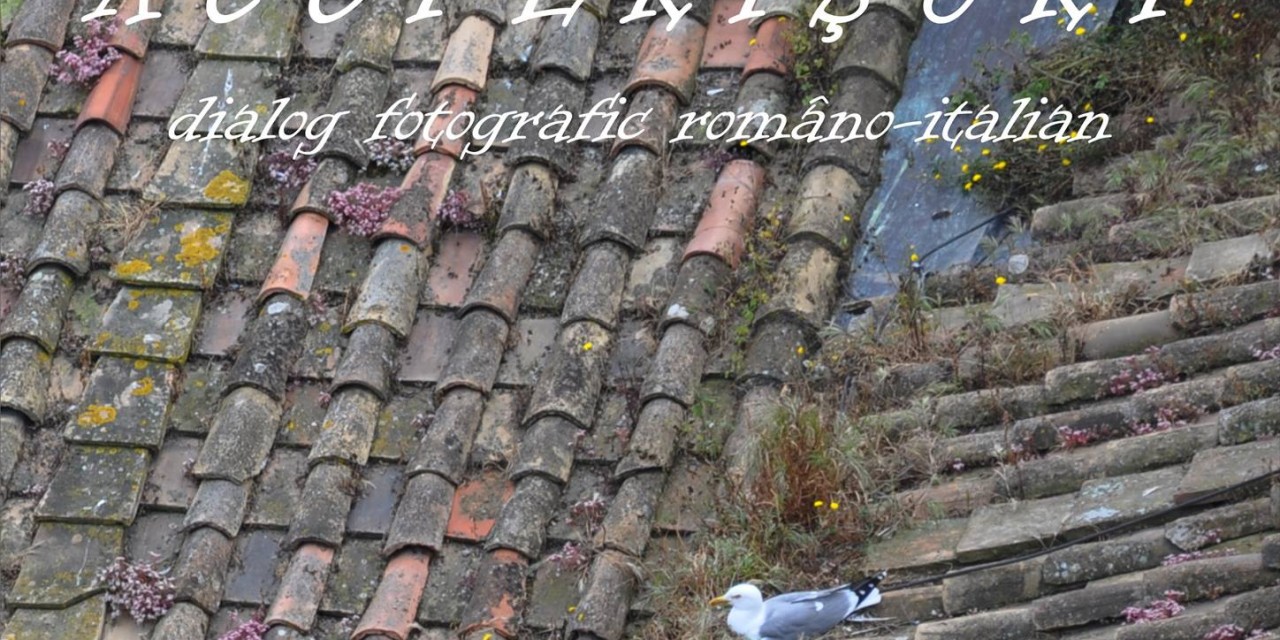 „Acoperișuri” expoziție de fotografie de Rodica Marinescu @ Muzeul Național al Țăranului Român