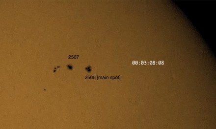 Perspective contemporane în arta interdisciplinară din România