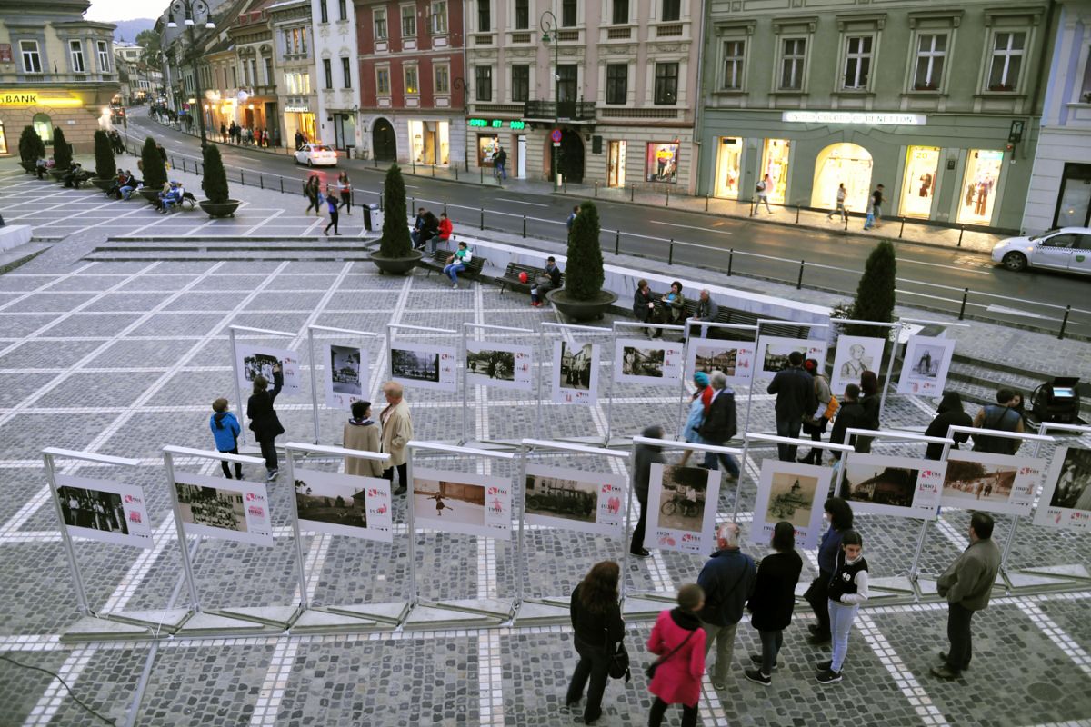 1_istoria-in-roz-2016