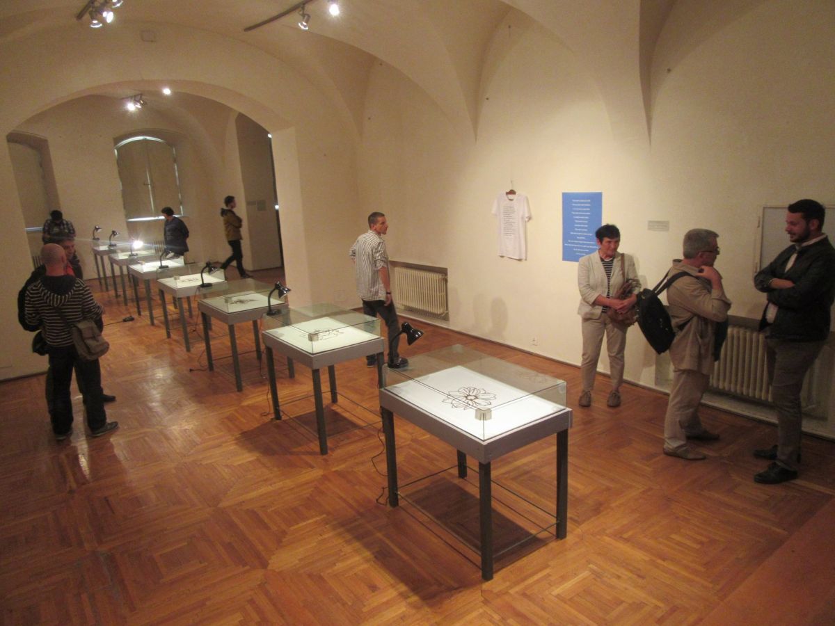 Belu-Simion Făinaru „Trandafirul nimicului” @ Muzeul de Artă Cluj-Napoca