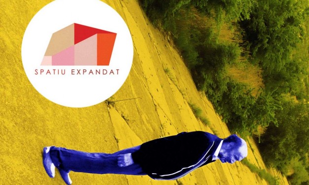 SPAȚIU EXPANDAT 2016 / ZONA GRI