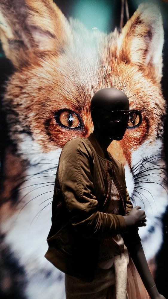 toamna-2016-lm_000009