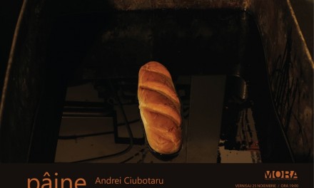 Andrei Ciubotaru „Pâine” @ Centrul de Arta MORA, București