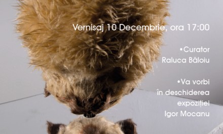 Alexandru Micloş, „Dreadful thread-full” @ galeria Foişor a Centrului Cultural Palatele Brâncoveneşti de la Porţile Bucureştiului, Mogoşoaia